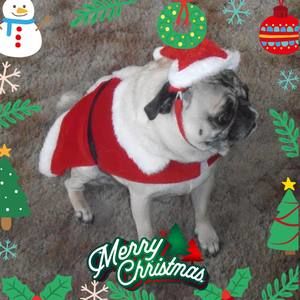 Meet your Posher, Beverly